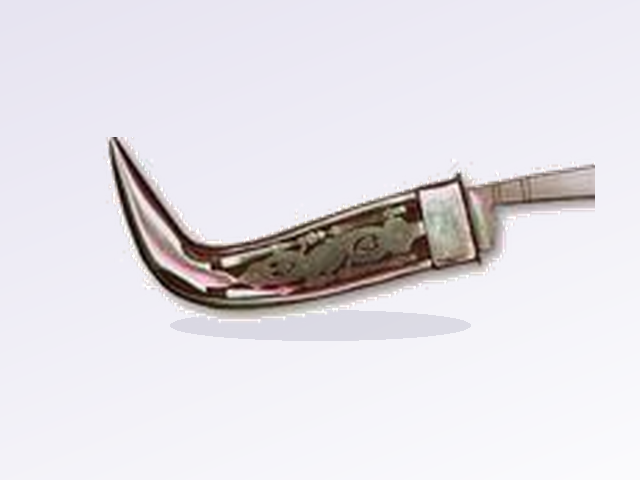 Kirpan